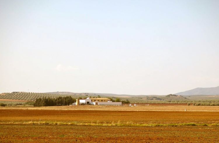 Tiny little white houses