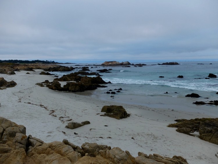 Monterey - 1 (28)