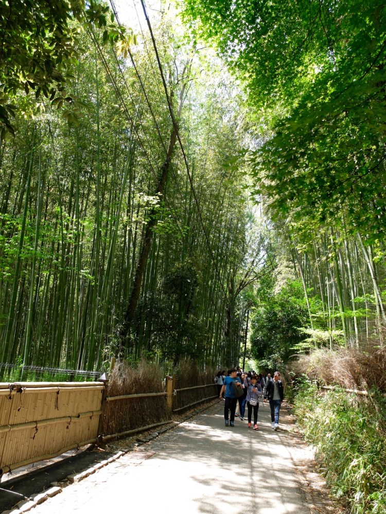 arashiyama1 - 1 (2)