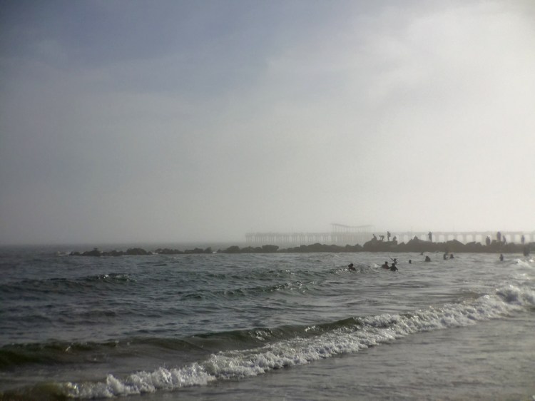 coneyisland - 1 (1)